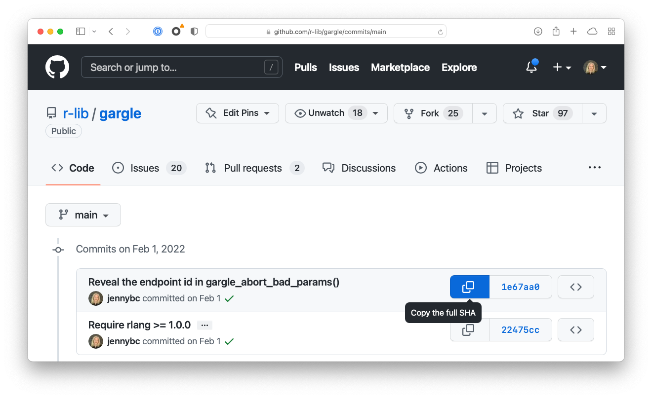 GitHub screenshot showing how to copy a specific SHA.