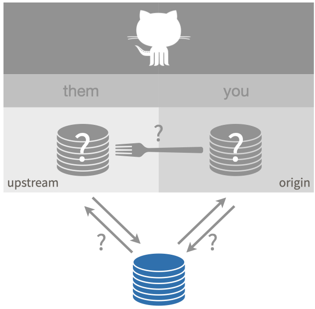 Setup described as 'maybe_fork'