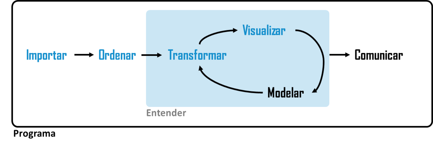 Un diagrama que muestra el ciclo de la ciencia de datos: Importar -> Ordenar -> Entender  (que tiene las fases Transformar -> Visualizar -> Modelar en un ciclo) -> Comunicar. Rodeando todo esto está el Programa Importar, Ordenar, Transformar y Visualizar está resaltado.