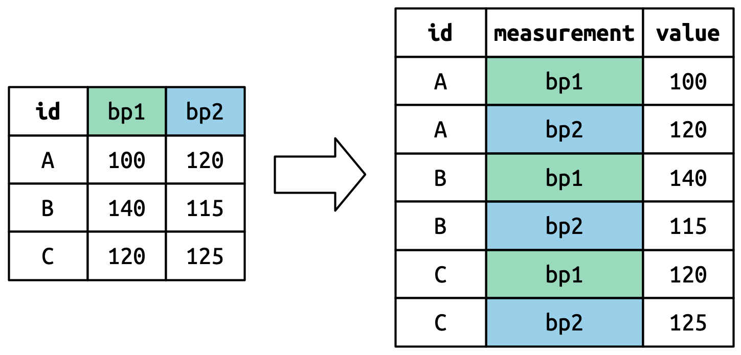 Un diagrama que muestra cómo `pivot_longer()` transforma un simple conjunto de datos, usando color para resaltar cómo los nombres de las columnas ("bp1" y "bp2") se convierten en los valores en una nueva columna `measurement`. se repiten tres veces porque había tres filas en la entrada.