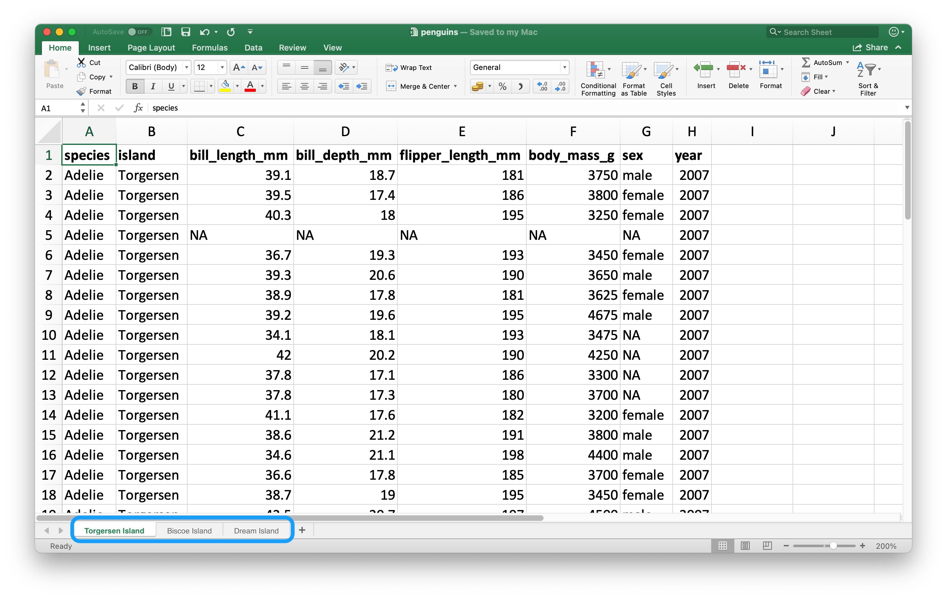 Una mirada a la hoja de cálculo de los pingüinos en Excel. La hoja de cálculo contiene tres hojas de trabajo: Torgersen Island, Biscoe Island y Dream Island.